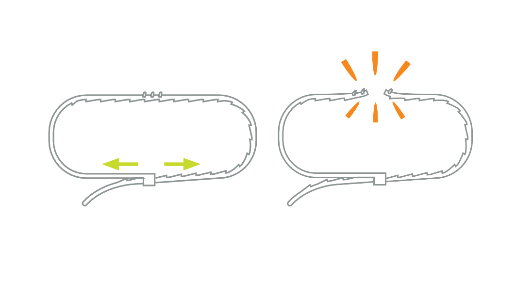 Seresto™ flea and tick collar for dogs and cats NZ